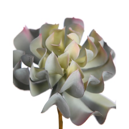 CRASA ELEGANCE ECHEVERIA ARTIFICIAL 16CM