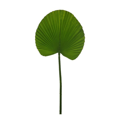 HOJA PALMITO ARTIFICIAL 54CM