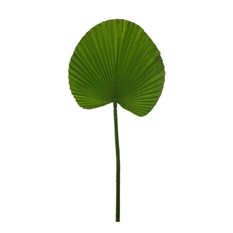 HOJA PALMITO ARTIFICIAL 54CM