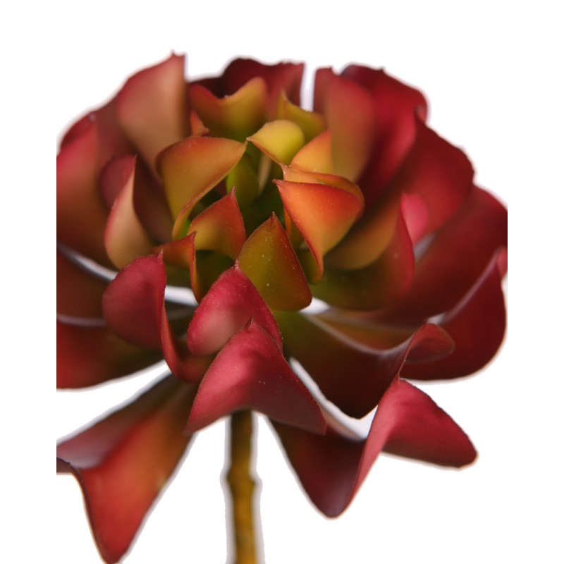 CRASA ELEGANCE ECHEVERIA ARTIFICIAL 16CM