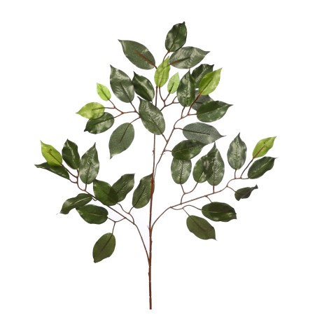HOJAS DE FICUS 60CM