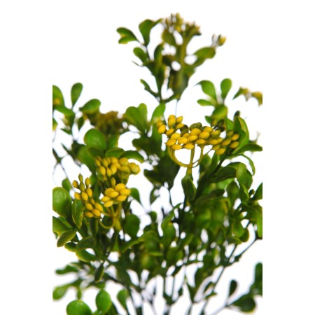 MATA BROTES MINI FLOR ARTIFICIAL 30CM