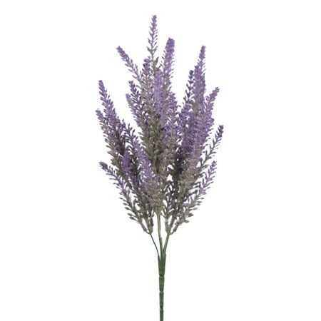 MATA LAVANDA 36 CM