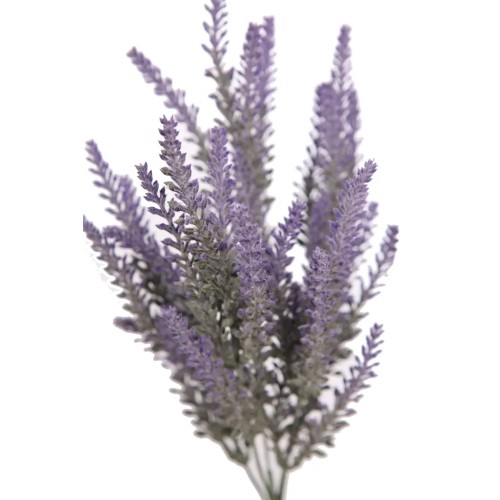 MATA LAVANDA 36 CM 2
