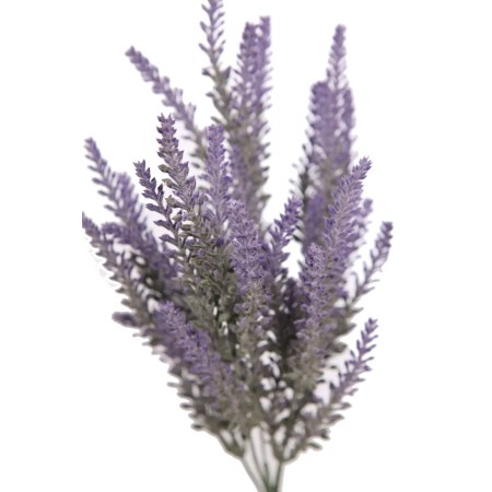 MATA LAVANDA 36 CM