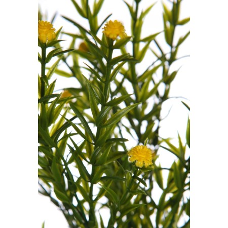 MATA MINI GIPSOFILA ARTIFICIAL 35CM