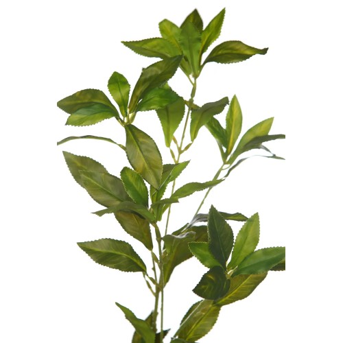 RAMA LAUREL ARTIFICIAL 80CM 2