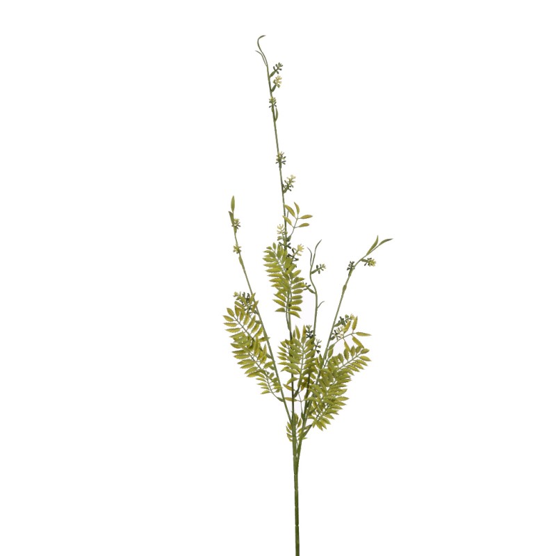 VARA CEDUM PTERIS X 4
