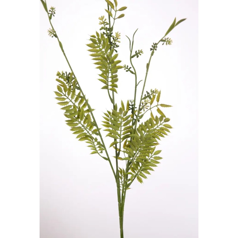 VARA CEDUM PTERIS X 4