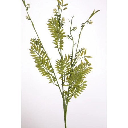 VARA CEDUM PTERIS X 4