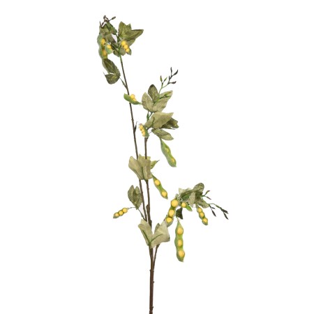 VARA GUISANTES