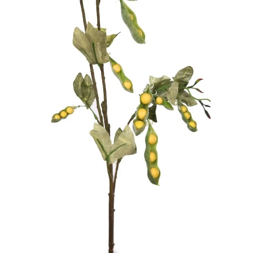 VARA GUISANTES 2