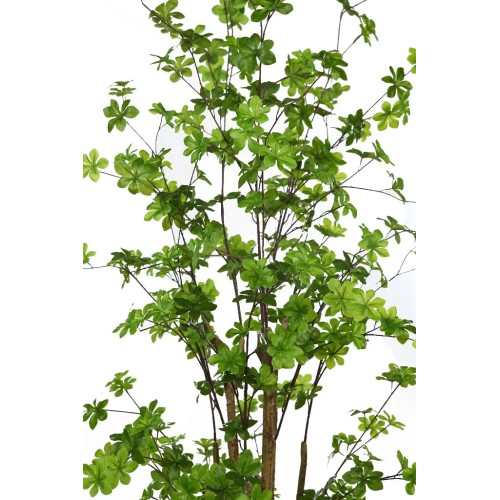 ENKIANTHUS ARTIFICIAL CON MACETA 180CM