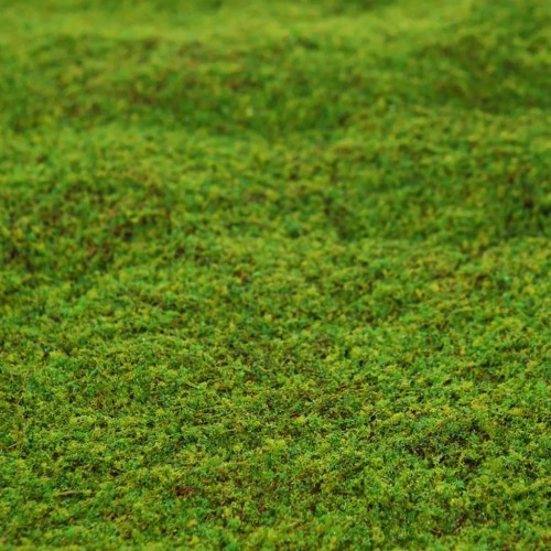 LIQUEN SINTETICO ø 55CM