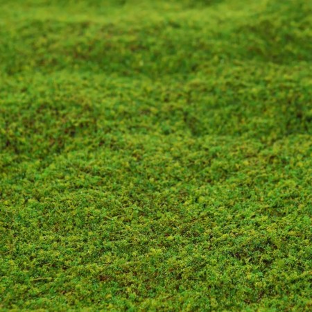 LIQUEN SINTETICO ø 55CM