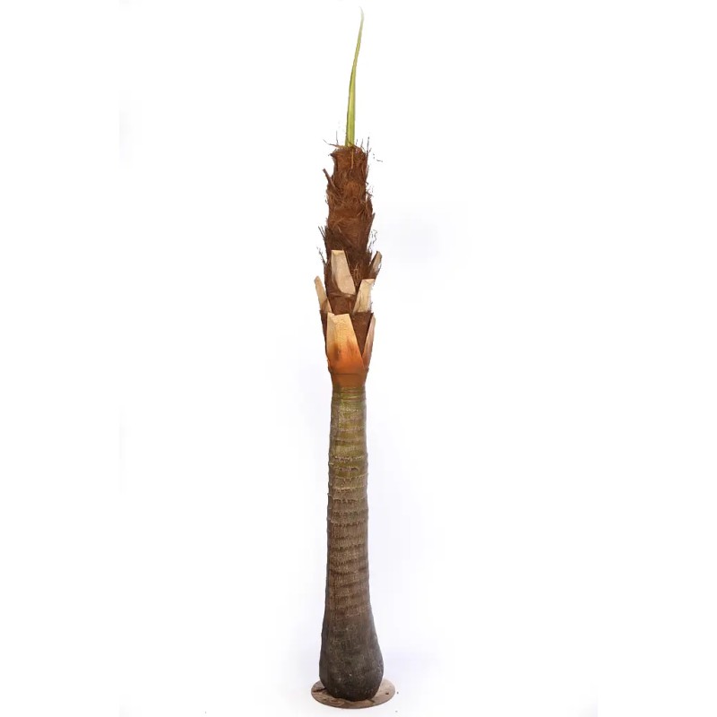 PALMERA ARTIFICIAL 280CM ANCHO 230CM EXT