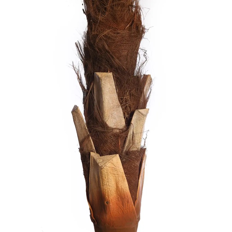 PALMERA ARTIFICIAL 280CM ANCHO 230CM EXT