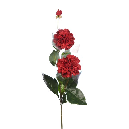 DALIA TACTO NATURAL X2, 79CM