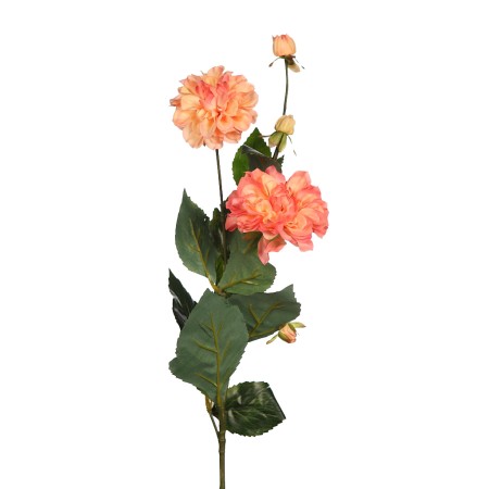 DALIA TACTO NATURAL X2, 79CM