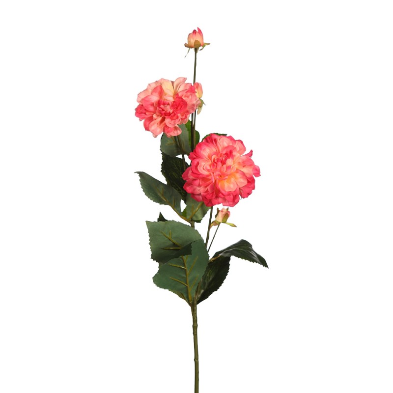 DALIA TACTO NATURAL X2, 79CM