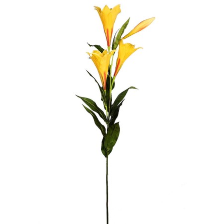 LILY EASTER GIGANTE, VARA X 4