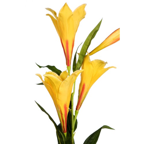 LILY EASTER GIGANTE, VARA X 4 2