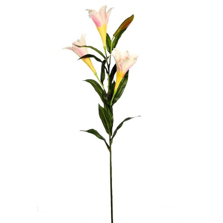 LILY EASTER GIGANTE, VARA X 4