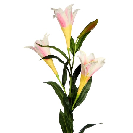 LILY EASTER GIGANTE, VARA X 4