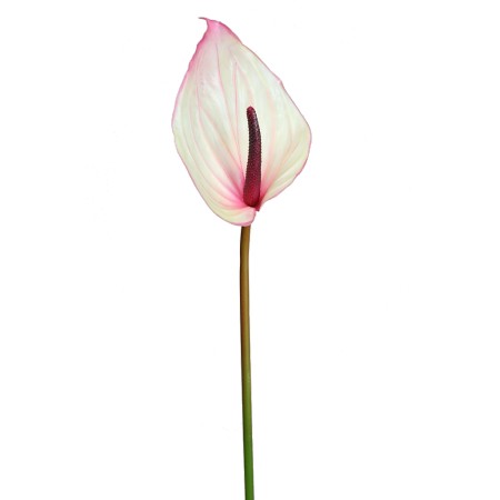 VARA ANTURIUM ARTIFICIAL 75 CM