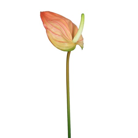 VARA ANTURIUM ARTIFICIAL 75 CM