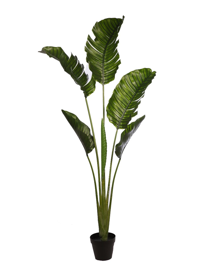 PALMERA RAVENALA ARTIFICIAL 190CM