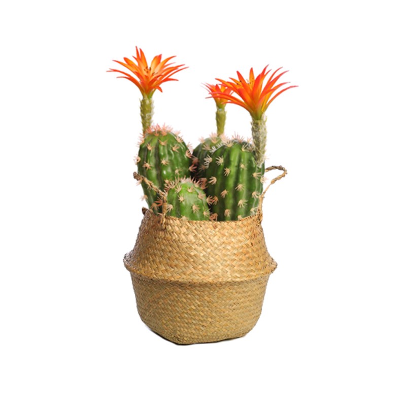 CUBREMACETA PALMITO 18CM