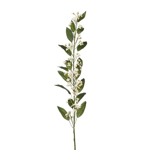 VARA EUPHORBIA 105 CM