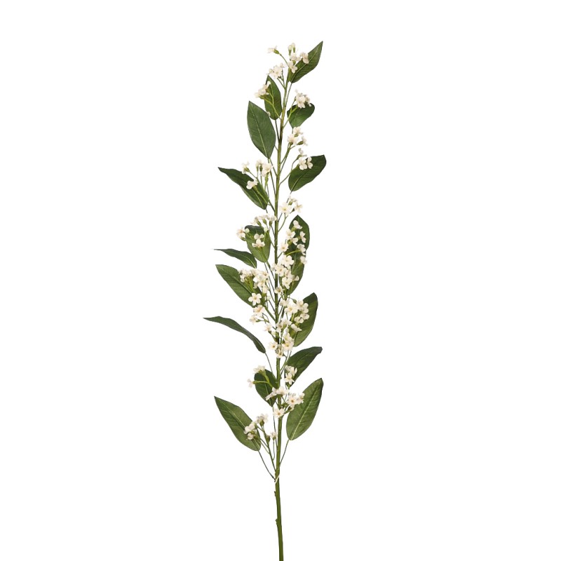 VARA EUPHORBIA 105 CM