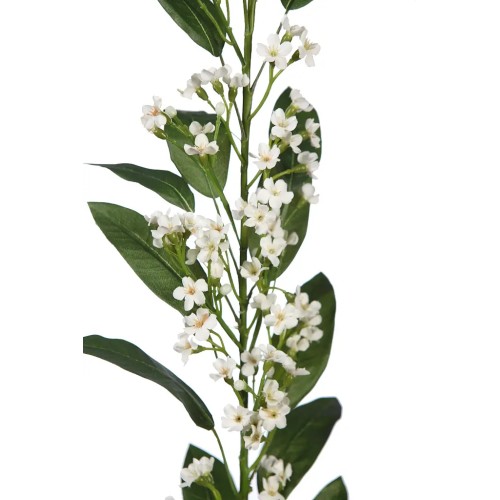 VARA EUPHORBIA 105 CM 2