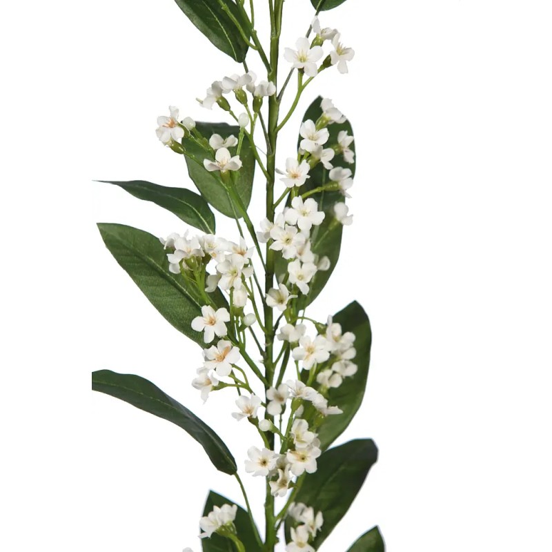 VARA EUPHORBIA 105 CM