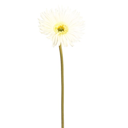 VARA GERBERA TACTO NATURAL 61 CM