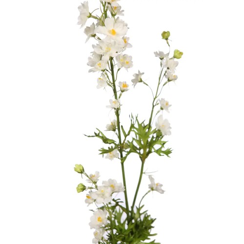 VARA MARGARITAS FAILLE 89CM 2