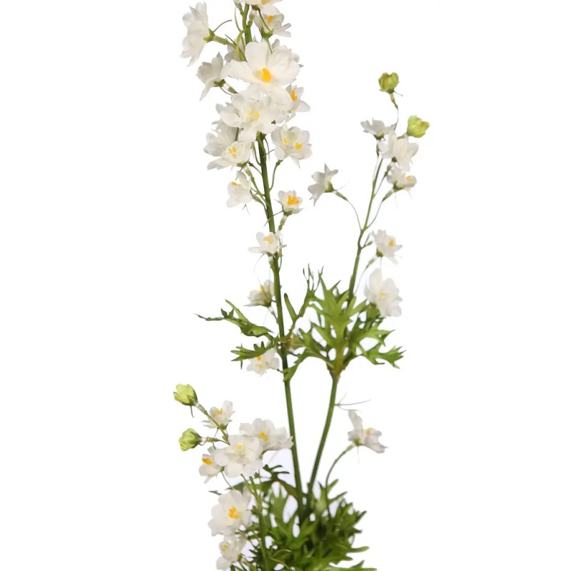 VARA MARGARITAS FAILLE 89CM