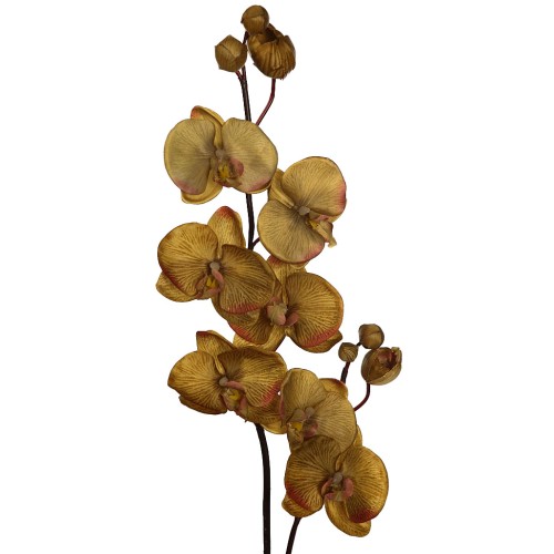 VARA ORQUIDEA 75CM 2