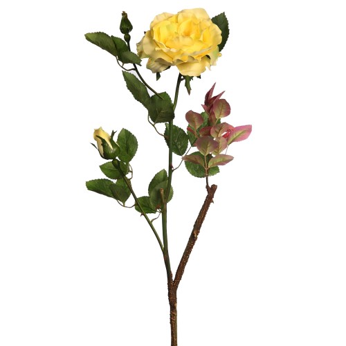 VARA ROSA WILD 65CM