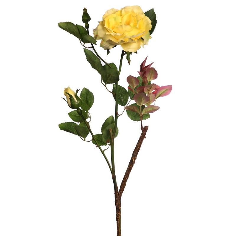 VARA ROSA WILD 65CM