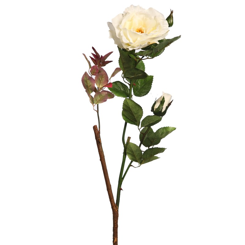 VARA ROSA WILD 65CM