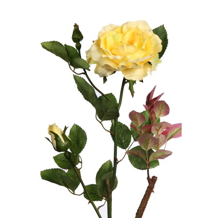 VARA ROSA WILD 65CM
