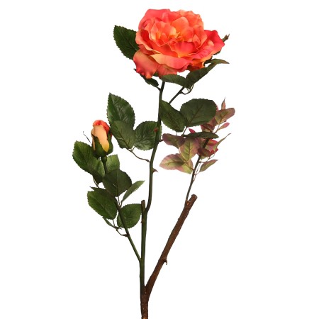 VARA ROSA WILD 65CM