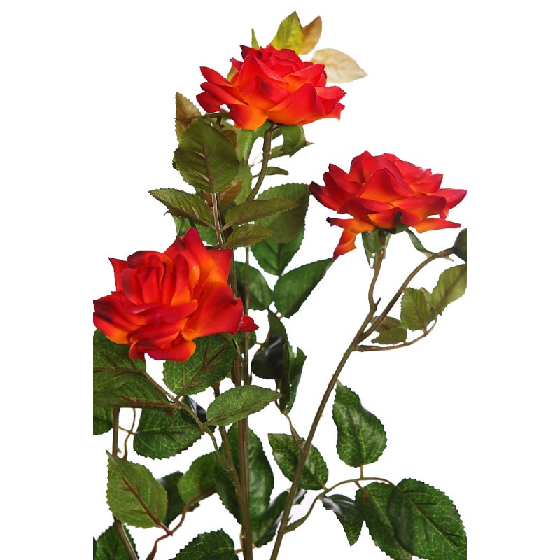 VARA ROSE SPRAY 70CM