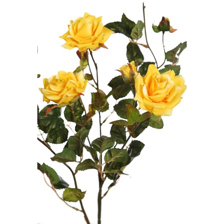 VARA ROSE SPRAY 70CM