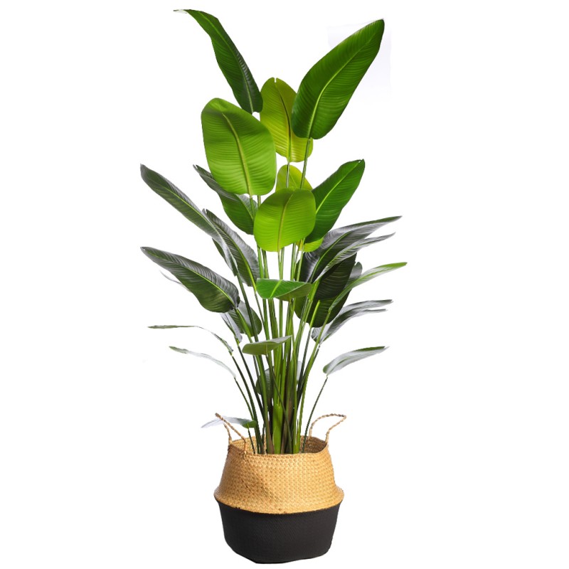 CUBREMACETA PALMITO 38CM