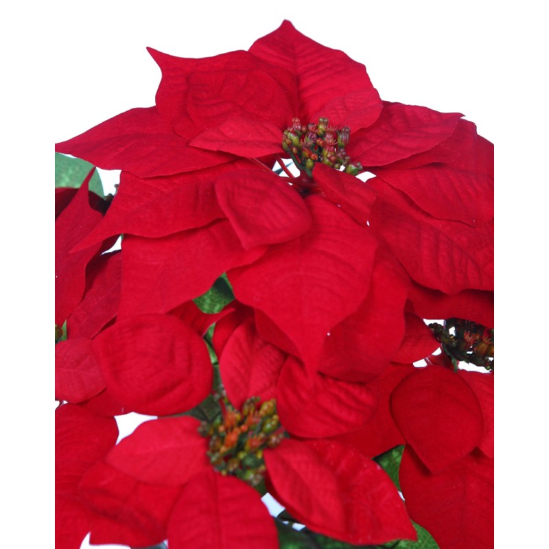 POINSETTIA X5 44CM