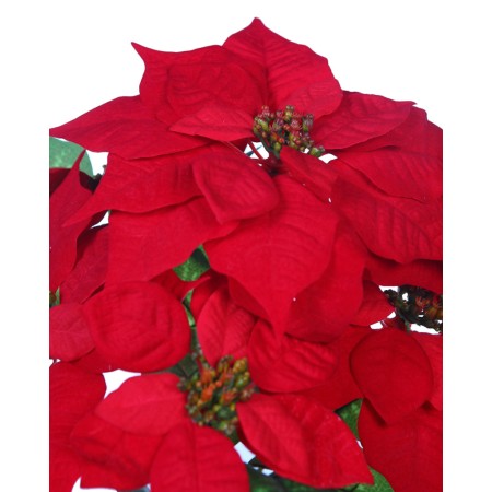 POINSETTIA X5 44CM